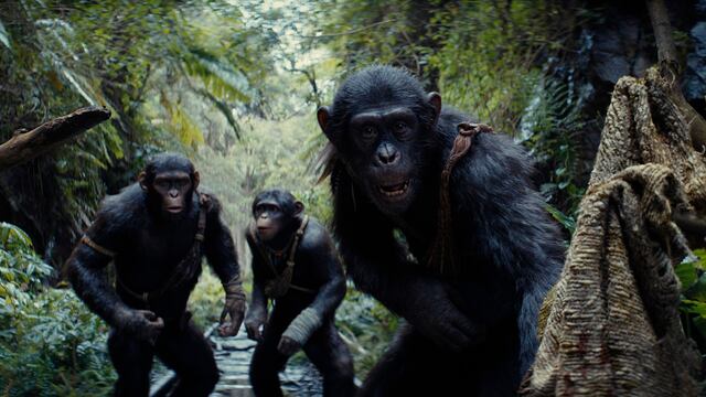 “Kingdom of the Planet of the Apes” domina la taquilla en los Estados Unidos