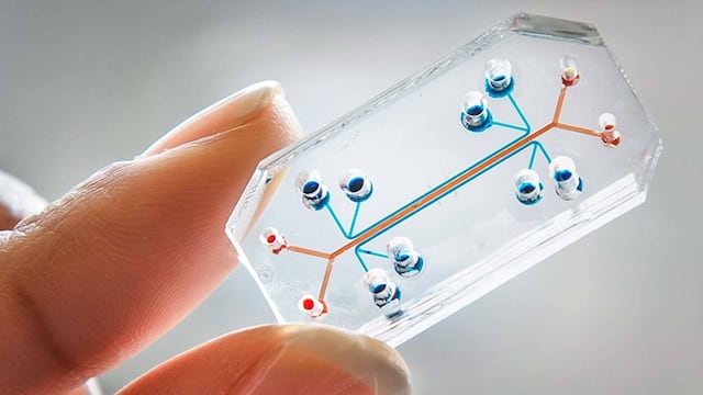 Empresa implantará chips en sus empleados para agilizar tareas