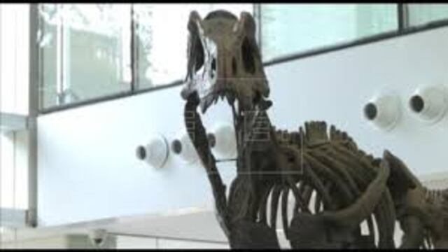 Descubren nuevo dinosaurio: mezcla de pato, cocodrilo, avestruz y cisne