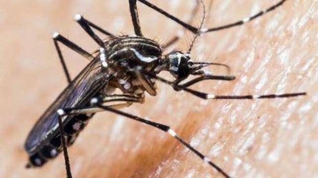 Anuncian disponibilidad de vacuna contra dengue para población pediátrica