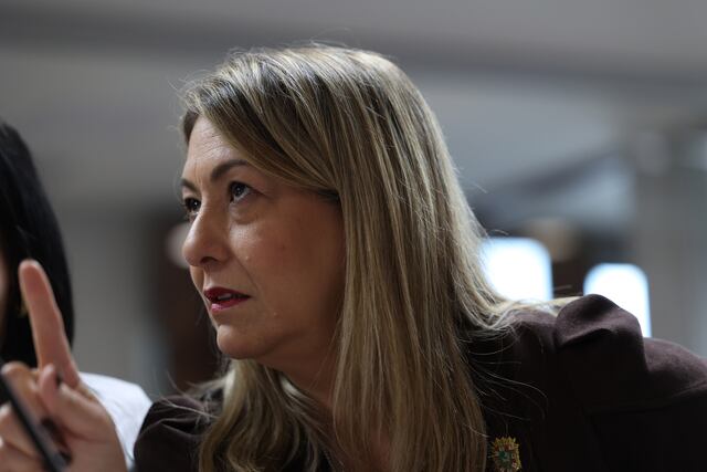 “Bruta y mentirosa”: Exdirectora regional de Familia demanda a Suzanne Roig