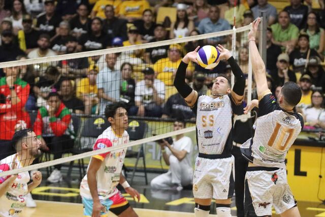 Cafeteros de Yauco se coronan campeones de la LVSM