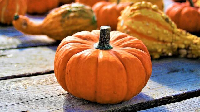 Río Grande dedicará encuentro de artesanos a los manjares elaborados con calabaza
