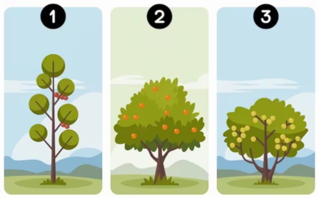 Conoce cuál es tu don más grande con solo escoger un árbol