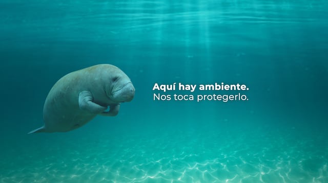 Recursos Naturales lanza campaña educativa “Aquí Hay Ambiente para Todos”