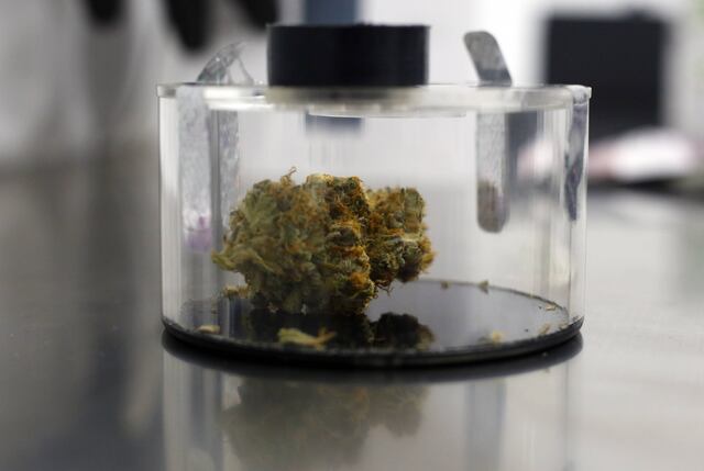 Expertos afirman necesidad purificación cannabis para dispensación