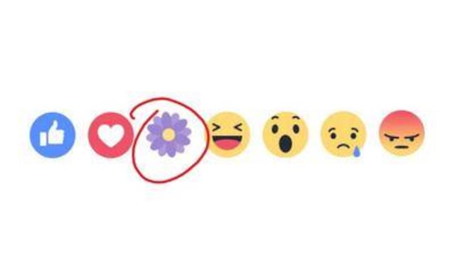 Facebook activa 'Me enflorece' y los usuarios enloquecen