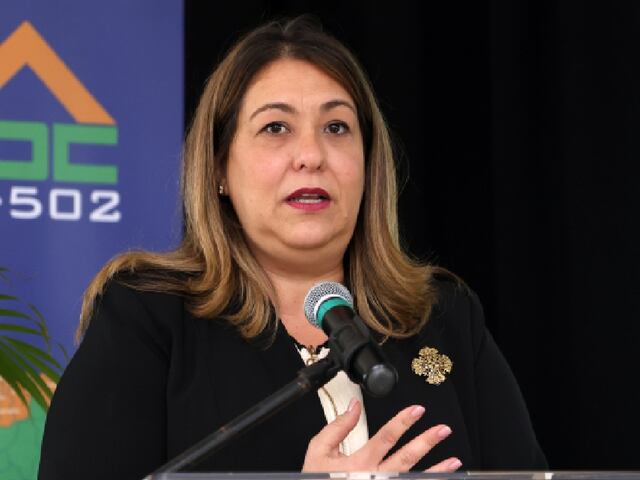 Informe advertía posibles delitos en caso de Suzanne Roig Fuertes