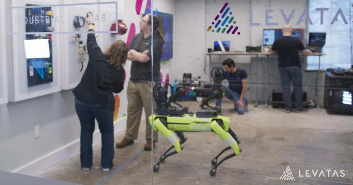 Porto Rican Robot Perro robot con inteligencia artificial es más listo que los humanos ...