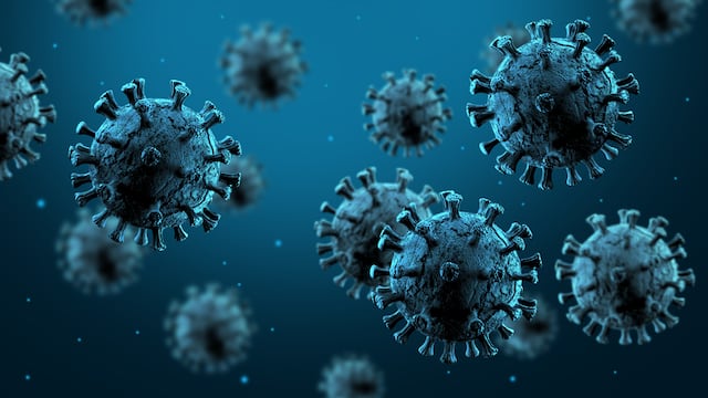 ¿Cómo se transmite el hantavirus?