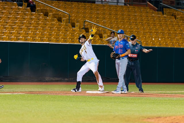 Béisbol: Gigantes de Carolina se enfrentarán a los Leones de Ponce