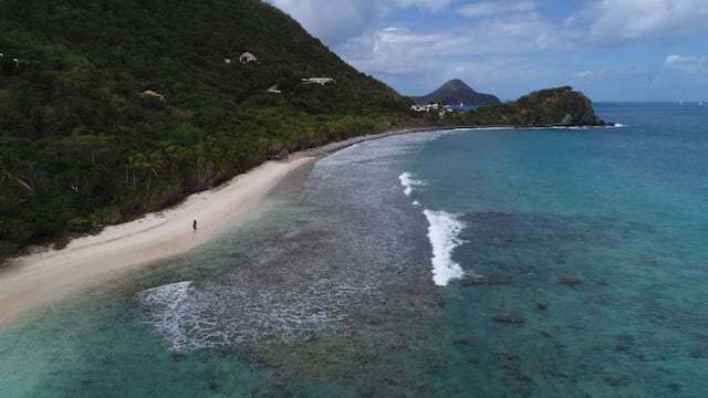 BVI: el esplendor de la naturaleza en sus manos