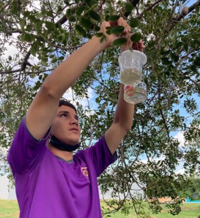 Escuela de Arroyo activa en la bio-conservación de las abejas