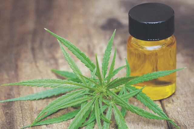 Un pique puertorriqueño con infusión de cannabis medicinal