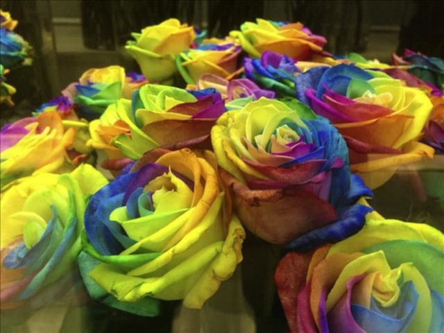 Aeropuerto de Miami bate récord en importación de flores para San Valentín