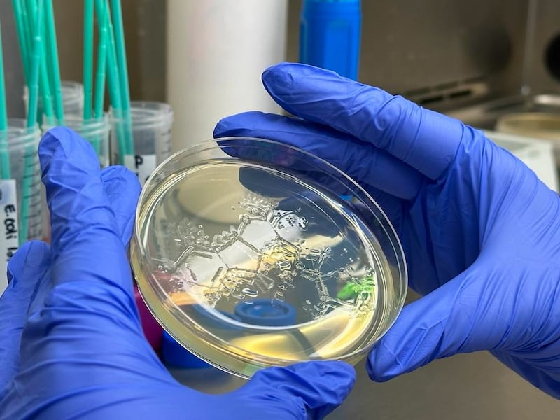 Actualmente, el Centro desarrolla investigaciones sobre enfermedades neurodegenerativas como Alzheimer y Parkinson, cáncer, así como el desarrollo de nuevos materiales, incluidas baterías de litio y tecnologías para la purificación de agua. 
Foto suministrada