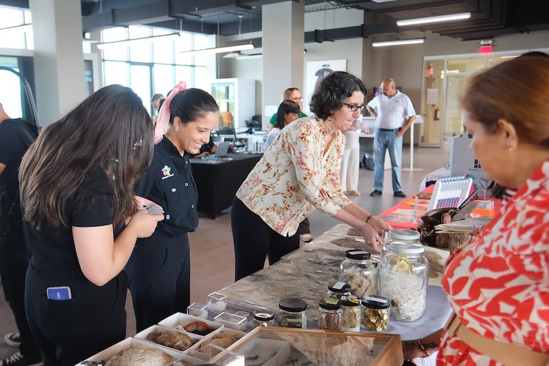 La Red de Museos y Centros de Ciencia y Tecnología está compuesta por nueve organizaciones.