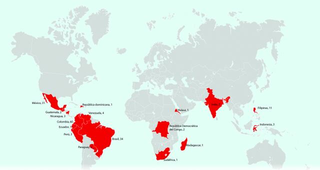 Asesinan a 177 ambientalistas en el mundo, en total impunidad