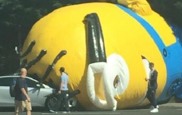 Malvado "Minion" causa caos en carretera de Irlanda