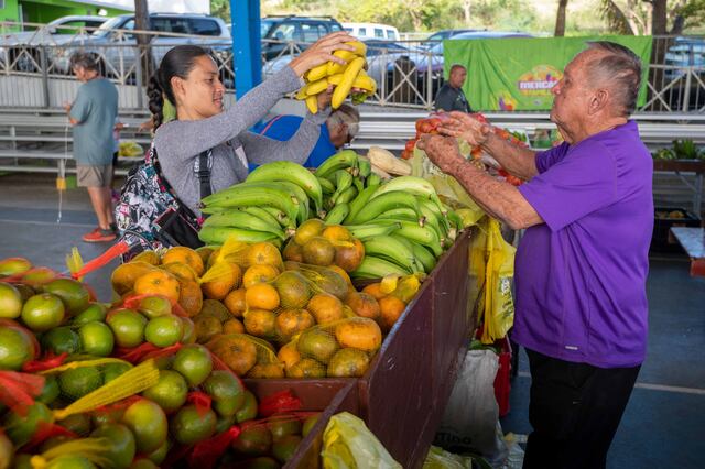 Agricultura invertirá $9.8 millones para adquirir productos locales