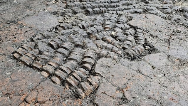 FOTOS: Hallan en Países Bajos un piso medieval revestido con huesos