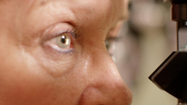 Mes de la Degeneración Macular: Optómetras educan sobre la salud ocular