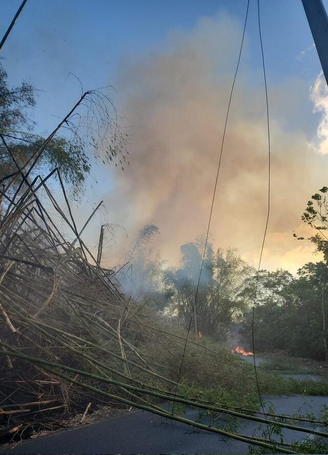 Reportan fuego forestal en Guaynabo