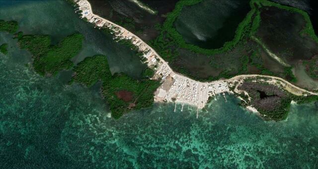 Recursos Naturales anuncia nuevo sistema de rastreo de vida silvestre en Puerto Rico