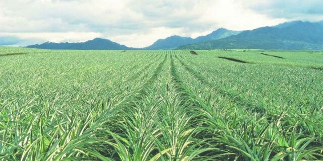 Monsanto seleccionado como uno de los mejores patronos del año