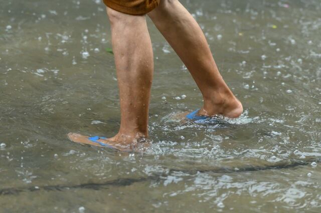 Puerto Rico lidera los casos de leptospirosis en todo Estados Unidos