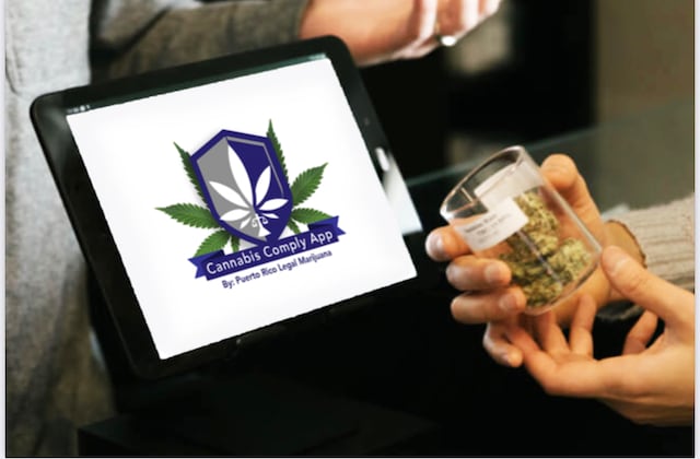 Lanzan app de cumplimiento para empresarios en la industria de cannabis medicinal