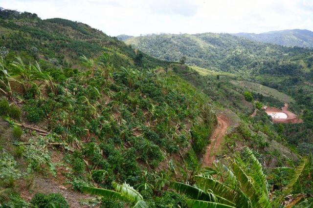 USDA invertirá hasta $225 millones en conservación agrícola en Puerto Rico