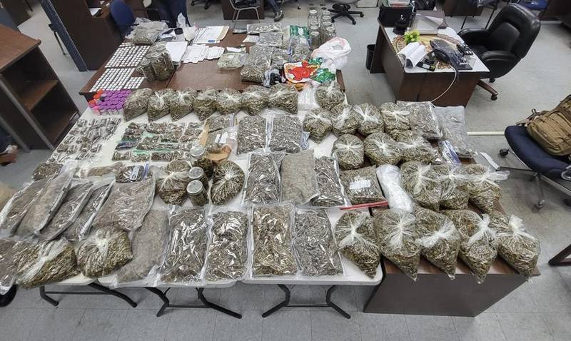 Policía arresta a dos personas y ocupan gran cantidad de marihuana en medio de allanamiento en Dorado.