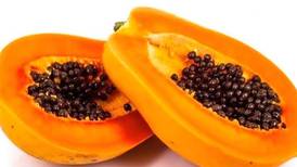 Lechosa o papaya: más que exótico sabor