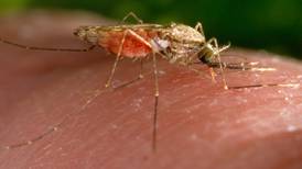 Registran casos de malaria en plena entrada del ciclones