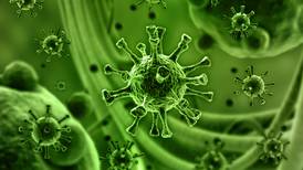 ¿Qué es el virus sincitial respiratorio? 