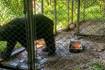 DRNA tiene “plan maestro” para el zoológico de Mayagüez que incluye el traslado de los animales 