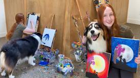 ¡Perrito artista!: Mascota se vuelve viral luego de ayudarle a su dueña a pintar cuadros