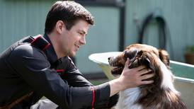 3 películas en Netflix sobre perros: nos recuerdan que el amor a una mascota es infinito