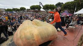 Profesor  gana concurso con calabaza gigante y rompe récord mundial