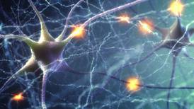 Ciencia: Un video nos muestra cómo mueren las neuronas