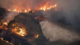 Cambio climático hizo que incendios de Australia fueran más extremos
