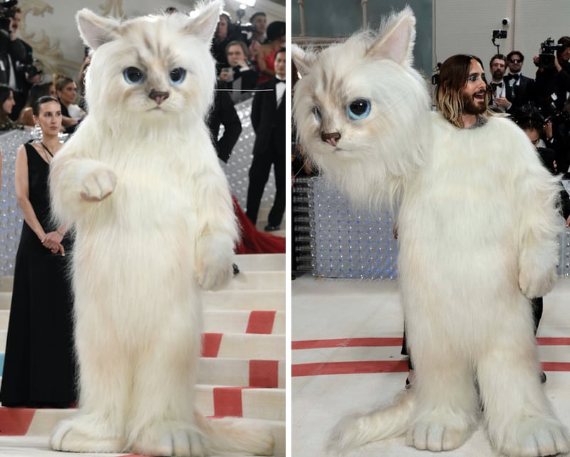¿Por qué Jared Leto llegó vestido de gato a la Met Gala 2023?