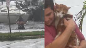 Rescatan a un perrito y gatito que se refugiaban del huracán Ian en Florida