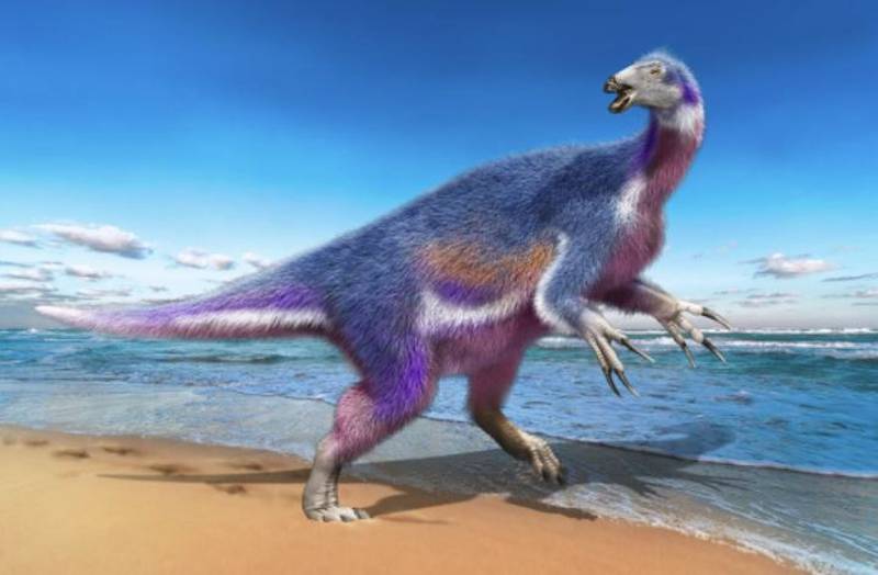 Nueva especie de dinosaurio con temibles garras hallada en Japón YJQJ3XMU3JBJPD37PT2MZ3ESMI