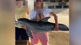 Joven recibe amenazas por tomarse fotos con un delfín que sacó del mar 