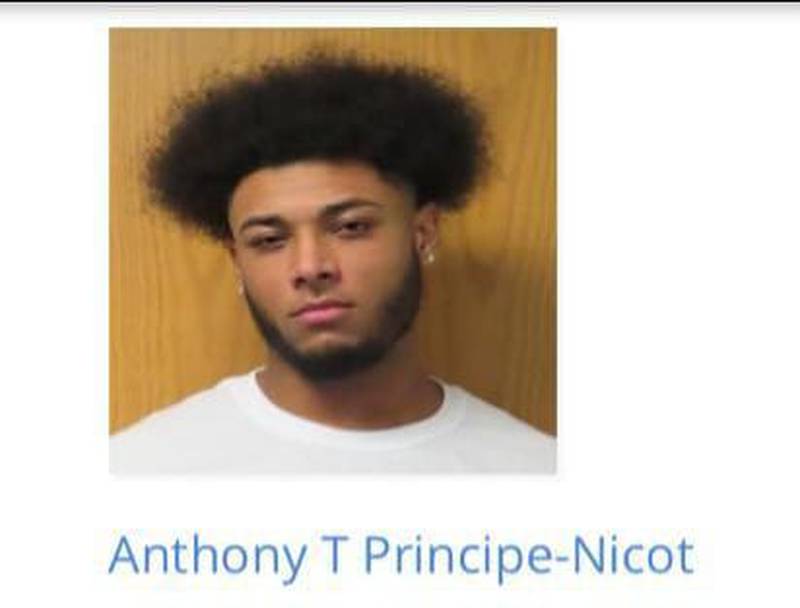 Anthony T Principe Nicot