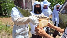 Estudiantes de Arroyo se encaminan hacia la apicultura