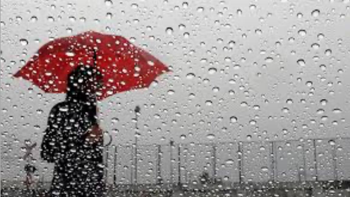 Ahora sí llegarán de manera generalizada.