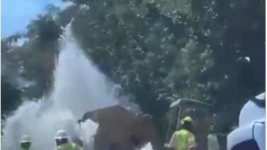 Afectó a sectores de bayamón.